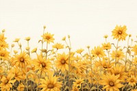 Sun flowers sunflower outdoors nature. 