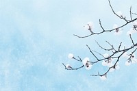 Snow backgrounds outdoors blossom. AI generated Image by rawpixel.