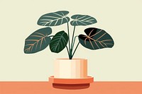 Alocasia longiloba plant leaf houseplant. AI generated Image by rawpixel.