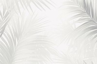 Palm leaves white backgrounds abstract. 