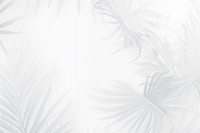 Palm leaves white backgrounds snowflake. 