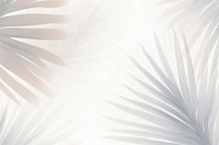 Palm leaves backgrounds white abstract. 