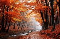 Autumn forest maple tree. 