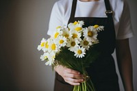 Florist daisy holding flower. 