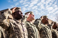 American armys salute military soldier adult. 