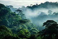 Rainforest landscape tree vegetation rainforest. AI generated Image by rawpixel.