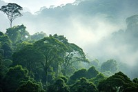 Rainforest landscape tree vegetation rainforest. AI generated Image by rawpixel.