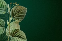 Leaf border dark green background