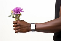 Hand holding flower wristwatch finger adult. 