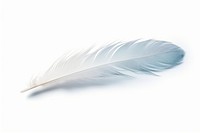 Dove feather white white background lightweight. AI generated Image by rawpixel.