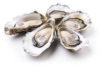 Fresh oysters seafood clam white background. AI generated Image by rawpixel.