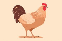 Brown chicken hen poultry animal bird. 