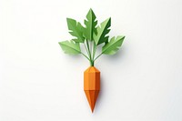 Carrot vegetable plant paper. 