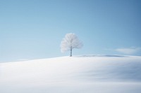 Snow landscape outdoors nature. 