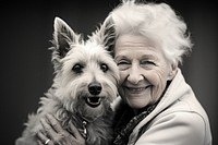 Dog portrait terrier smiling. 