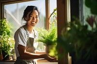 Indoor plant smiling window garden. 