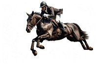 Horse jumping mammal animal. AI generated Image by rawpixel.