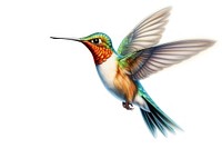 Hummingbird cartoon animal flying. AI generated Image by rawpixel.
