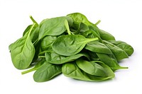 Spinach vegetable plant green. 