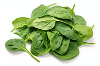 Spinach vegetable plant green. 