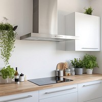 Minimal white kitchen interior plant countertop architecture. 