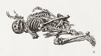 A Human Skeleton (1784-1859), vintage illustration by James Ward. Original public domain image from Wikimedia Commons. Digitally enhanced by rawpixel.