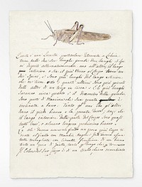 Locust (1737–1770), vintage ltter written by Luigi Balugani. Original public domain image from Yale Center for British Art. Digitally enhanced by rawpixel.