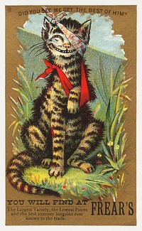 Did you see me get the best of him? You will find at Frear's (1881), injured cat vintage illustration. Original public domain image from Digital Commonwealth. Digitally enhanced by rawpixel.