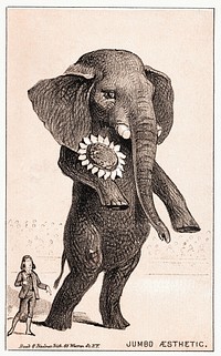 Jumbo aesthetic. Clark's O.N.T. Spool Cotton (1870–1900), vintage elephant illustration. Original public domain image from Digital Commonwealth. Digitally enhanced by rawpixel.