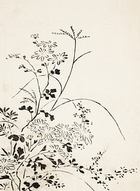 Autumn Flowers and Grasses (1762), vintage botanical illustration by Miyazaki Yuzen. Original public domain image from The Los Angeles County Museum of Art. Digitally enhanced by rawpixel.