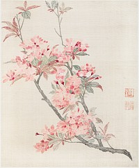 Crabapple Blossoms (1690), vintage flower illustration by Ma Yuanyu. Original public domain image from The Los Angeles County Museum of Art. Digitally enhanced by rawpixel.