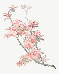 Crabapple Blossoms, vintage flower illustration by Ma Yuanyu psd. Remixed by rawpixel.