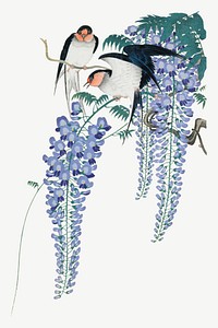 Ohara Koson's Swallows and Wisteria, Japanese bird illustration psd. Remixed by rawpixel.