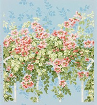 Sidewall (1890&ndash;1920), vintage pink roses illustration. Original public domain image from The Smithsonian Institution. Digitally enhanced by rawpixel.