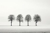 Minimal background tree outdoors nature. 