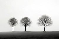 Minimal background tree outdoors nature. AI generated Image by rawpixel.