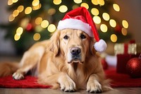 Pet dog retriever christmas. AI generated Image by rawpixel.