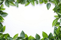 Green leaves frame backgrounds plant leaf. AI generated Image by rawpixel.