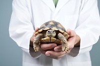 Veterinarian reptile animal doctor. AI generated Image by rawpixel.