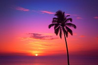 Sunset tree sky silhouette. 