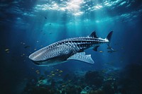 Georgia aqurium animal shark underwater. AI generated Image by rawpixel.