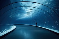 Aquarium tunnel underwater nature. 