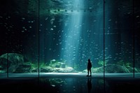 Aquarium underwater silhouette nature. 