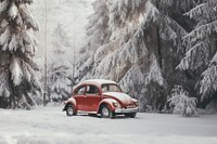 Car vehicle forest tree. 