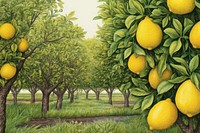 Lemon garden plant fruit food. AI generated Image by rawpixel.