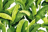 Banana tree leaf backgrounds plant. AI generated Image by rawpixel.