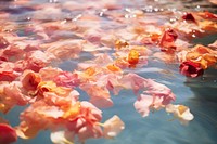 Flower petal swimming outdoors. 