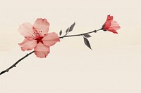 Cherry blossom flower hibiscus petal. AI generated Image by rawpixel.