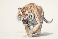 Tiger fighting wildlife drawing animal. AI generated Image by rawpixel.