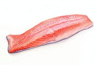 Salmon seafood white background freshness. 